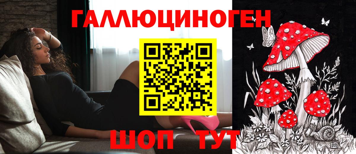 Псилоцибиновые грибы Psilocybe Юрга